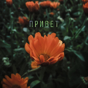 Привет