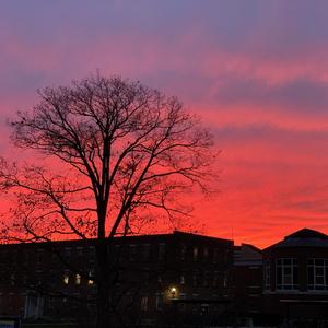 魚仔 (feat. Jacob Chen)