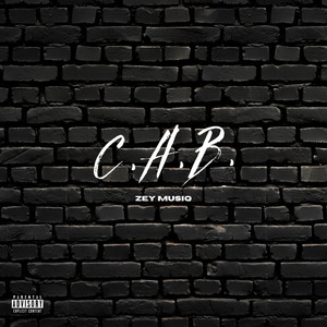 C.A.B. (Catch A Body)