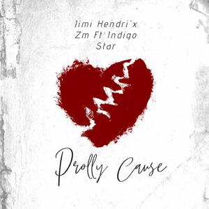 Prolly Cause (feat. Hendri'x Zm)