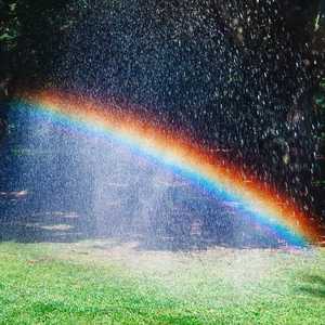 醒不来的梦 （女生完整版）（翻自回小仙）