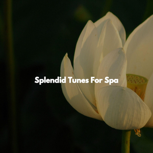 Happy Wellness Treatments