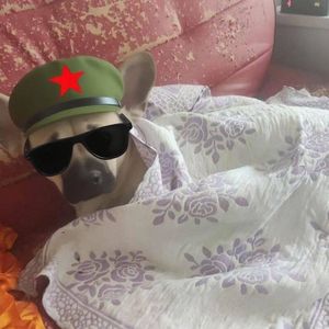 摇篮曲(原声吉他) Lullaby -Johannes Brahms