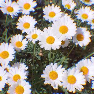 (free beat)GxxxkeⅠ