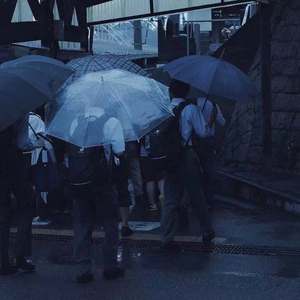 廢 墟 里 的 玫 瑰 照 樣 浪 漫