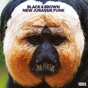 New Jurassik Funk