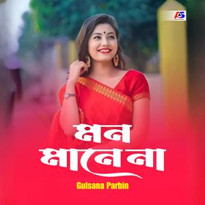 মন মানে না