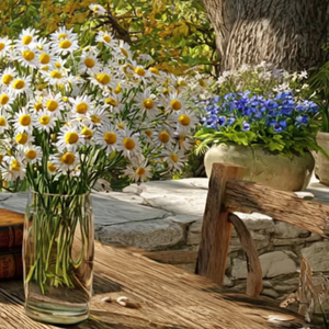 Sunlight on the Linen