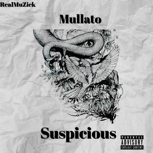 Suspicious (feat. RealMuZick)