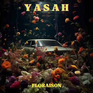 The Owl (feat. Busy Pitch)