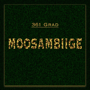 Moosambiige (Original Mix)