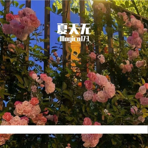 夏之寂寥无寻处