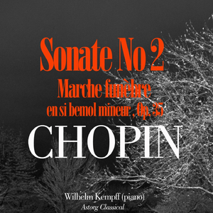 Piano Sonata No. 2 in B Flat Minor, Funeral March, Op. 35: I. Grave-doppio movimento