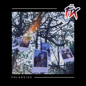 Polaroids