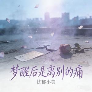 梦醒后是离别的痛