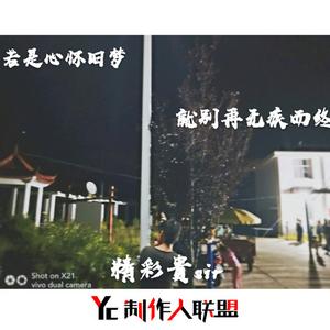 PDD洪荒之力(DJ版)