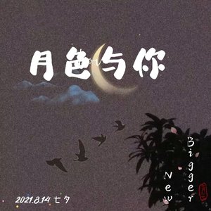 月色与你