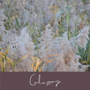 Glossary #4