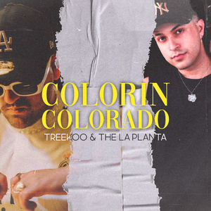 Colorín Colorado (Remix)