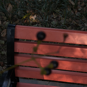 惧高症（cover 周笔畅/单依纯）