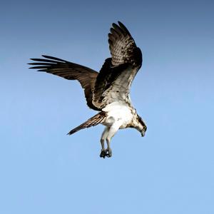 ไม่ต้องการฉัน