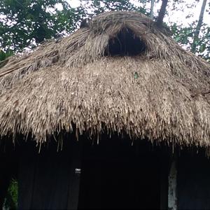 All I Can Do Is Improve Myself