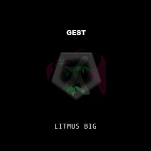 Gest