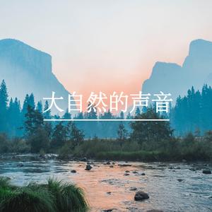 大自然的声音丨纯音乐