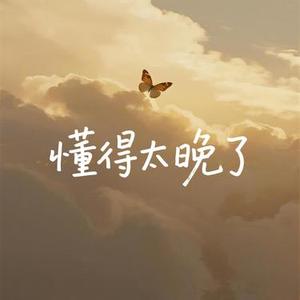 懂得太晚了