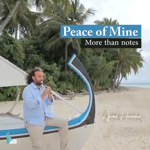 Peace of Mine | More than notes