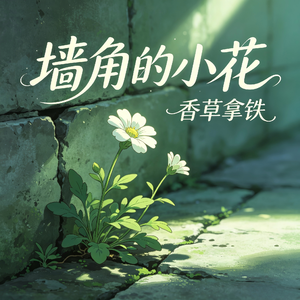 墙角的小花