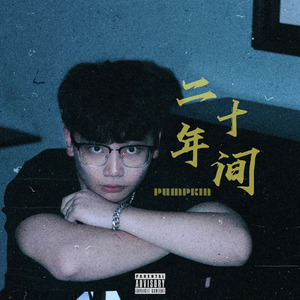 二十年间