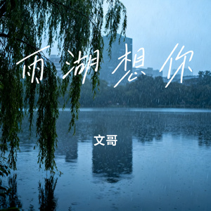 雨湖想你