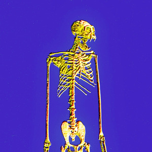 la sangre sabe a soledad