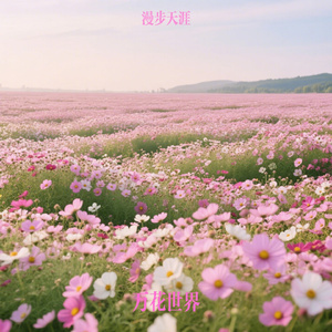 万花世界