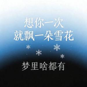 想你一次就飘一朵雪花 (烟嗓版)