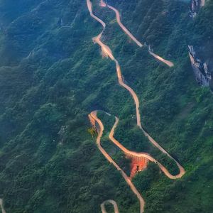 人生不长何苦心怀愁绪