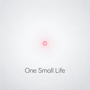 One Small Life