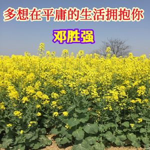 多想在平庸的生活拥抱你