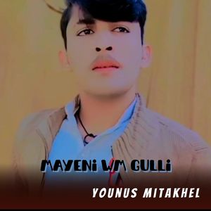 Mayeni Wm Gulli