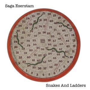 Snakes and Ladders