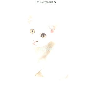 微妙的放松的猫心情