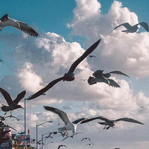 蓝天泡沫（翻自 吴强）