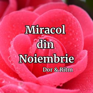 Miracol din Noiembrie