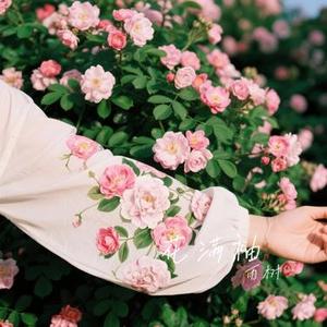 花满袖 (Cover 崔十八 & 听潮阁)