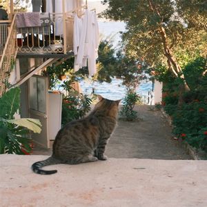 日夜不停的追逐