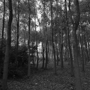 august（翻自Taylor Swift）