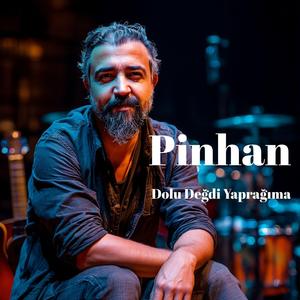 Dolu Değdi Yaprağıma (feat. Hasan Demir (Er Ari))