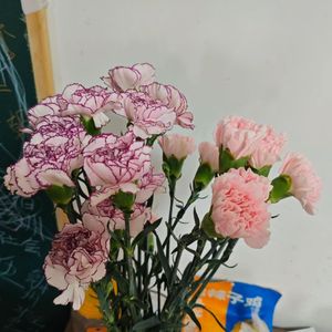 来不及爱你 雨就停了