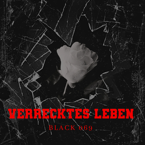 Verrecktes Leben
